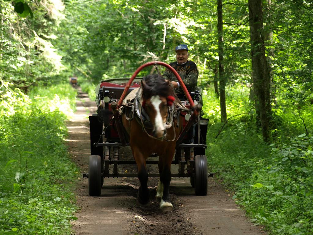 Kwiatowa Zagroda Беловеж Экстерьер фото