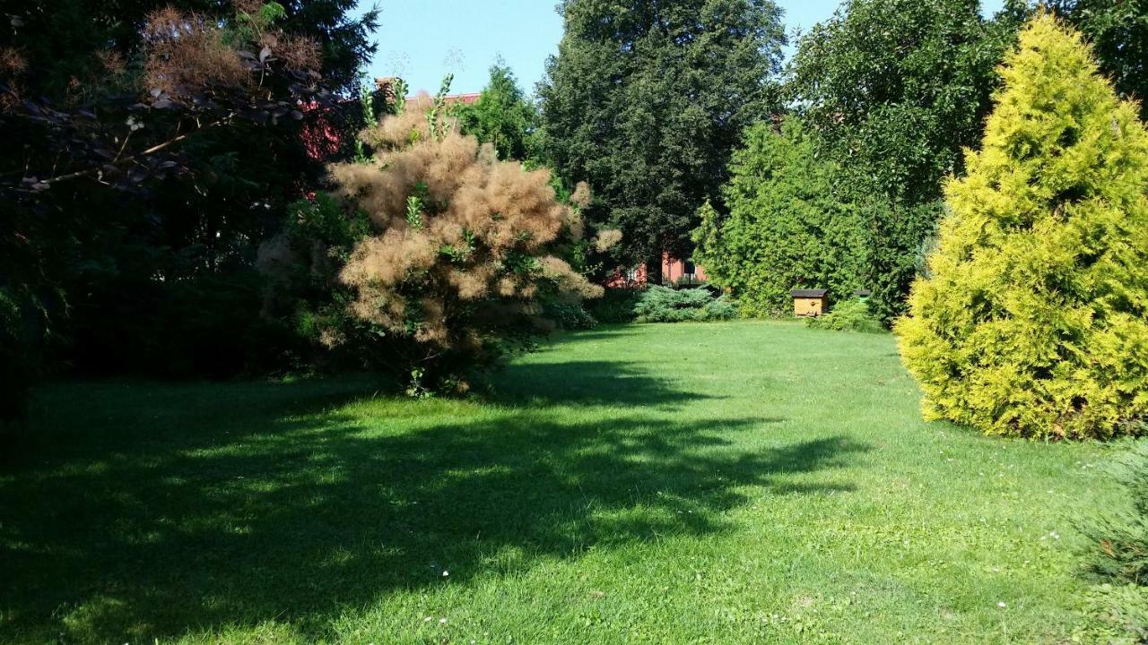 Kwiatowa Zagroda Беловеж Экстерьер фото
